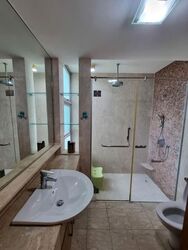 The Raintree (D21), Condominium #597165041